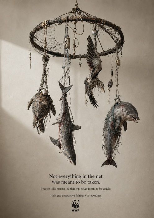 AI-billede: Bycatch Mobile